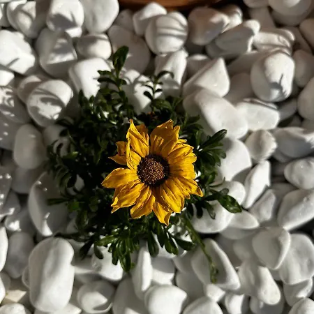 Luxury Mia With Pool And Amazing Sea Views, Villa